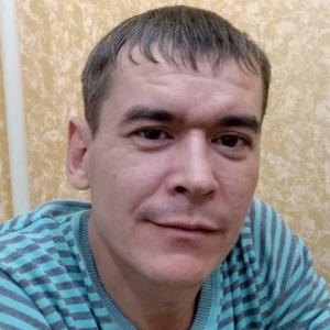 Андрей, 43 года, Братск