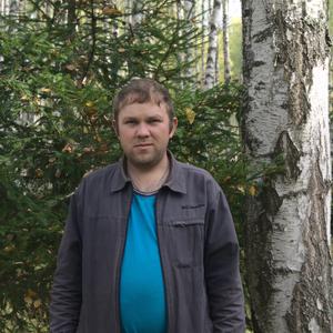 Андрей, 38 лет, Вознесенское