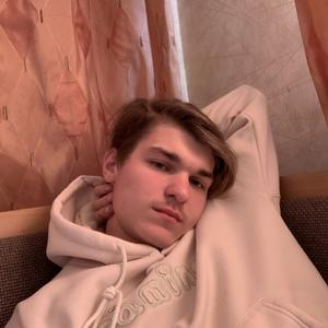 Сергей, 19 лет, Тула