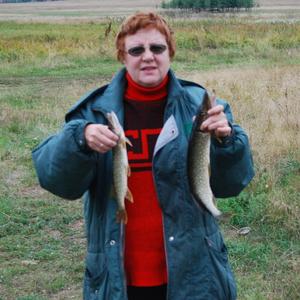 Лежнева Елена, 60 лет, Пермь