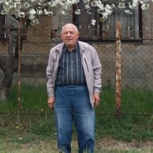 Гаджи, 75 лет, Краснодар