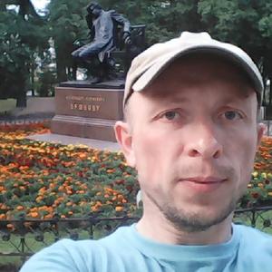 Илья Александров, 40 лет, Колпино