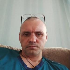 Вячеслав Жгунов, 45 лет, Новосибирск