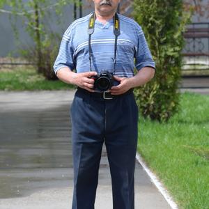 Николай Дмитриев, 69 лет, Саратов