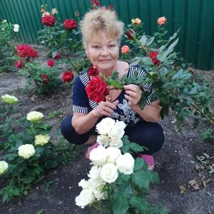 Нина, 72 года, Воронеж