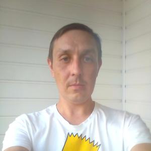 Дмиртий, 38 лет, Владимир