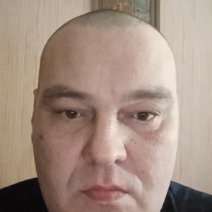 Алексей Дмитренко, 51 год, Ижевск