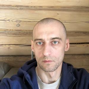 Андрей, 37 лет, Волоколамск