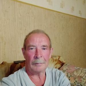 Виктор, 73 года, Рязань