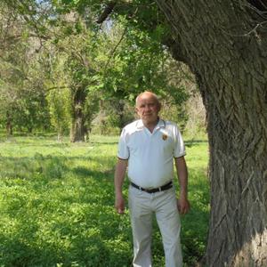 Александр, 62 года, Камышино