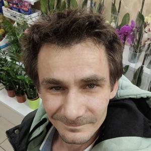Владимир, 39 лет, Зеленоград