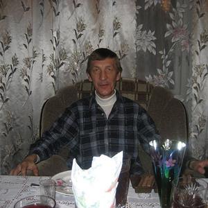 Николай, 72 года, Северодвинск