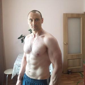 Роман, 37 лет, Курск
