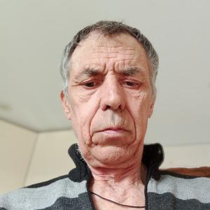 Александр, 66 лет, Терезе