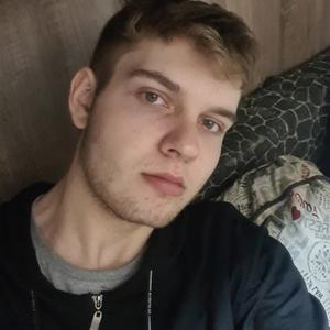 Даниил Макарченко, 22 года, Бобруйск