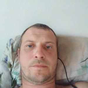 Igor, 42 года, Струнино