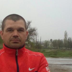 Виктор, 42 года, Камышин