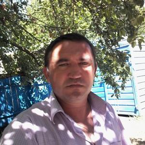 Андрей, 40 лет, Балашов