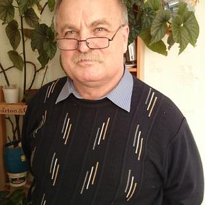 Федор Кобасюк, 71 год, Новосибирск
