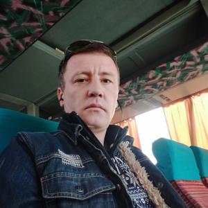 Митяй, 42 года, Белгород