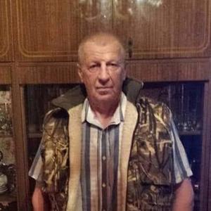 Анатолий Пышкин, 71 год, Москва