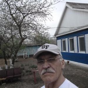 Анатолий Зелен, 74 года, Краснодар