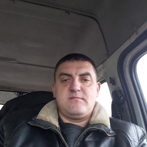 Андрей, 41 год, Брест