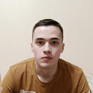 Владимир, 26 лет, Старая Русса