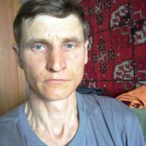 Сергей, 48 лет, Заринск
