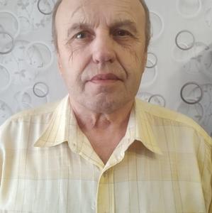 Парни в Рубцовске: Владимир, 70 - ищет девушку из Рубцовска