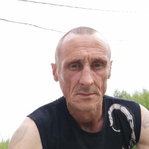 Михаил, 51 год, Ярославль