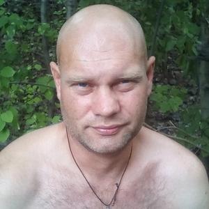 Парни в Ижевске: Алексей Ильин, 44 - ищет девушку из Ижевска