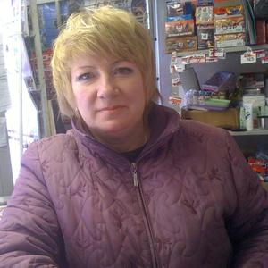 Светлана Бабкина, 64 года, Димитровград