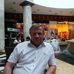 Геннадий Шорин, 73 года, Краснодар