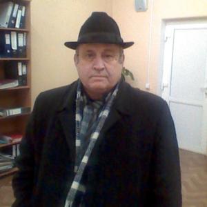 Михаил Долганов, 74 года, Краснодар