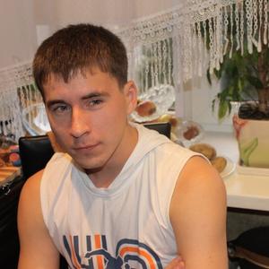 Вова, 34 года, Калининград