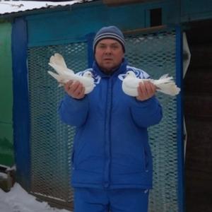 Андрей, 53 года, Ефремов