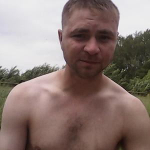Иван, 34 года, Череповец
