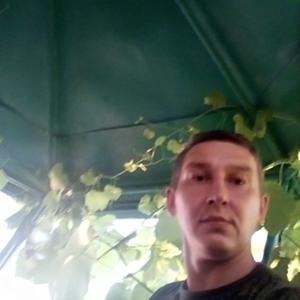 Олег, 42 года, Воронеж