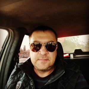 Сергей Воронин, 43 года, Волгоград