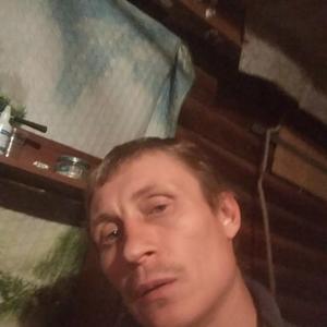 Дмитрий, 45 лет, Северск