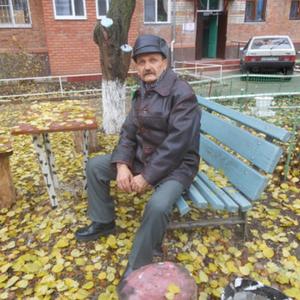 Aleksandr, 64 года, Краснодар