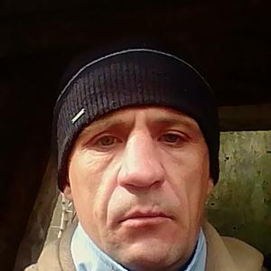 Андрей, 39 лет, Семилуки