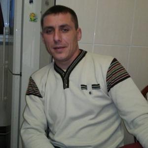 Саня, 39 лет, Павлоград