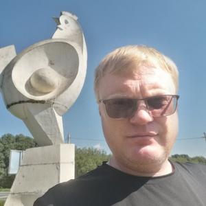 Парни в Вологде: Андрей, 42 - ищет девушку из Вологды