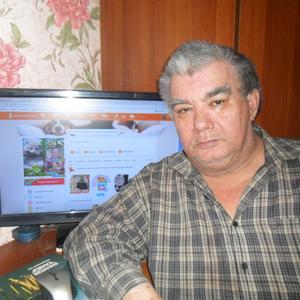 Михаил Романыч, 69 лет, Новосибирск
