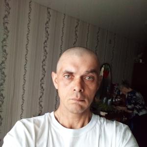 Серега, 39 лет, Белово
