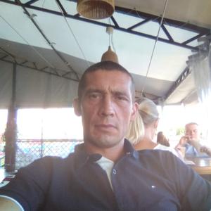 Василий, 43 года, Сосновоборск
