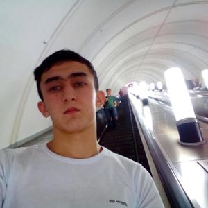 Мурад, 25 лет, Алмалык