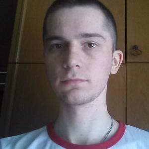 Артур, 31 год, Новосибирск